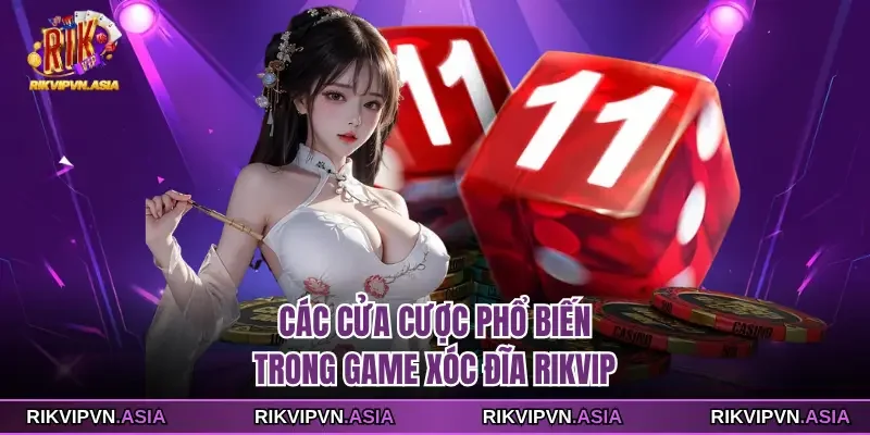 Các cửa cược phổ biến trong game Xóc đĩa Rikvip
