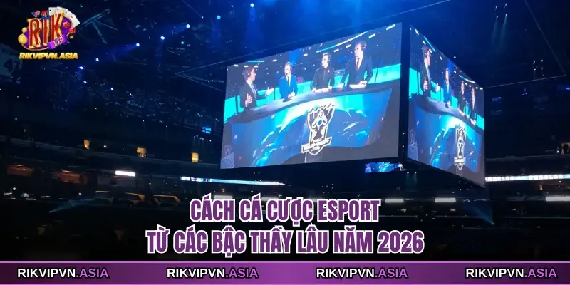 Cách cá cược esport
